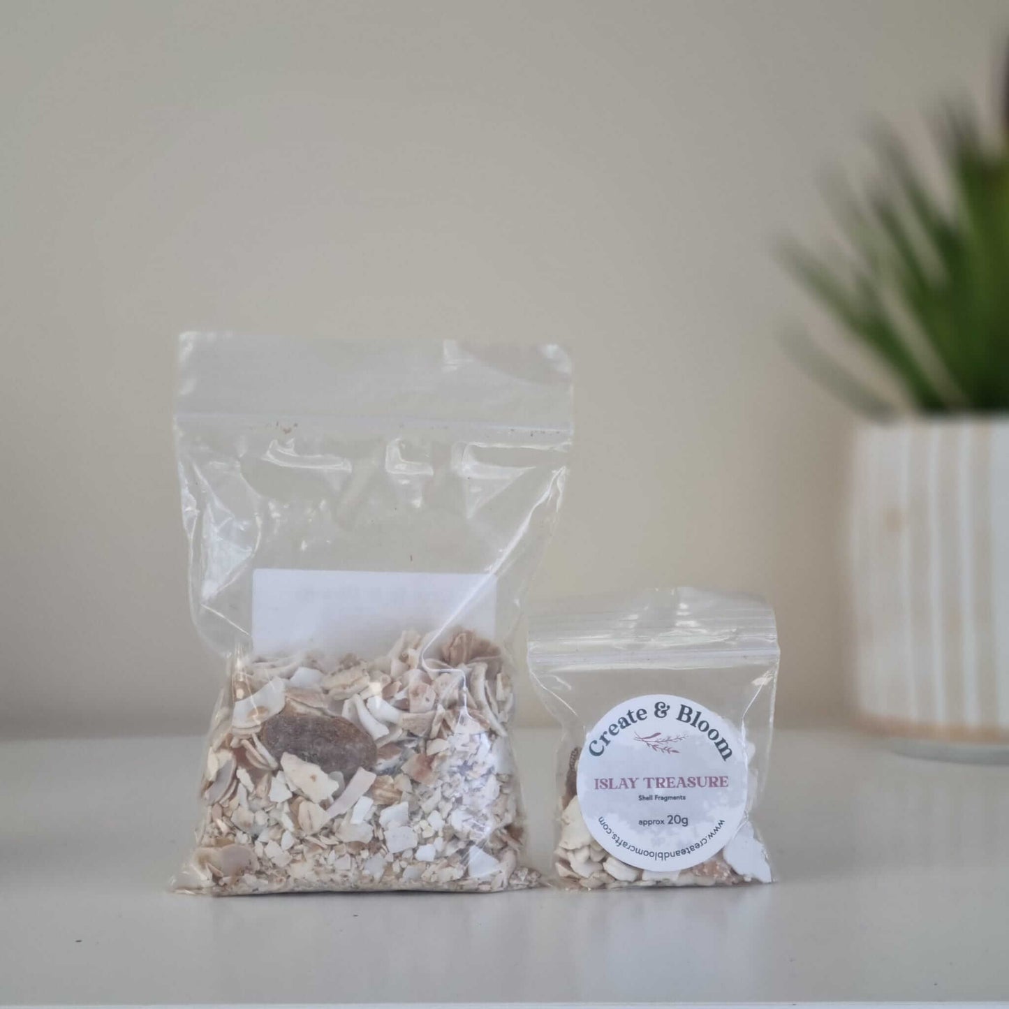 Bloom Texture - Islay Treasure Shell Fragments!