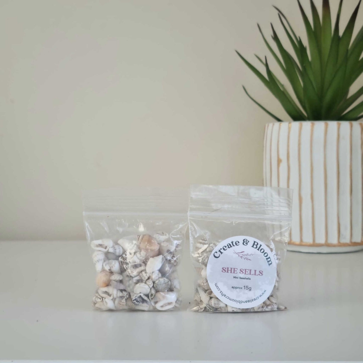 Bloom Texture - She Sells, Mini Seashells!