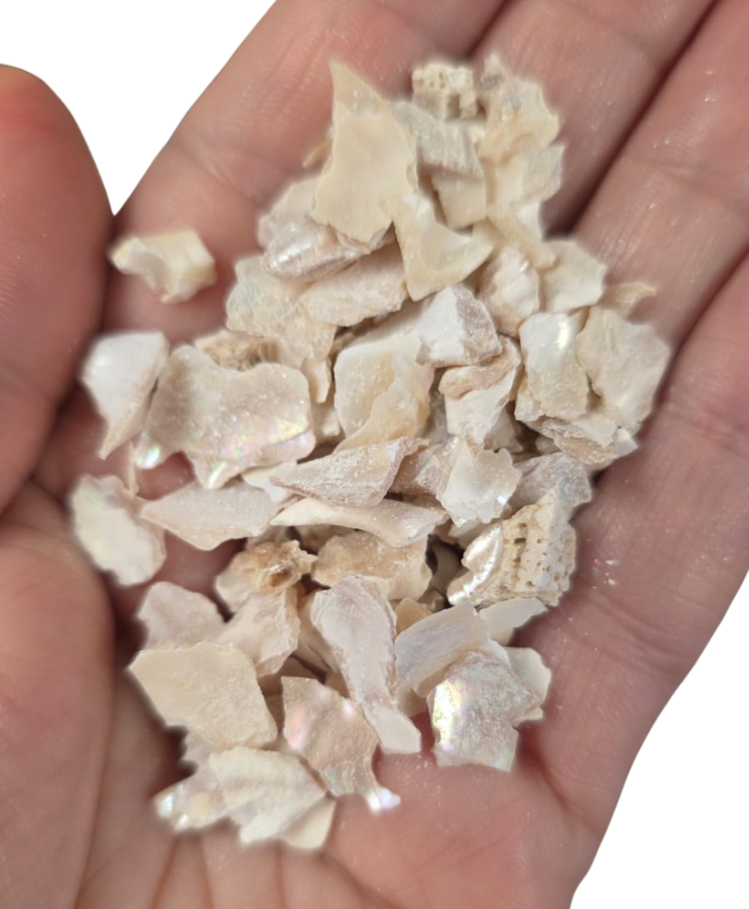Bloom Texture - Mother Of Pearl Fragments! 200g