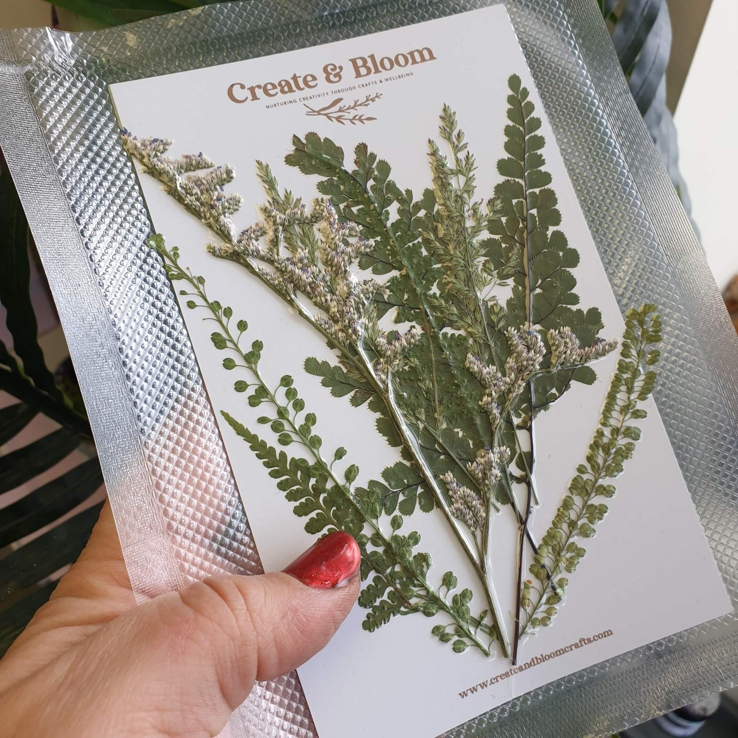 Blooming Pretty Pressed Flower Pack: Fosse Cross ferns and foliage
