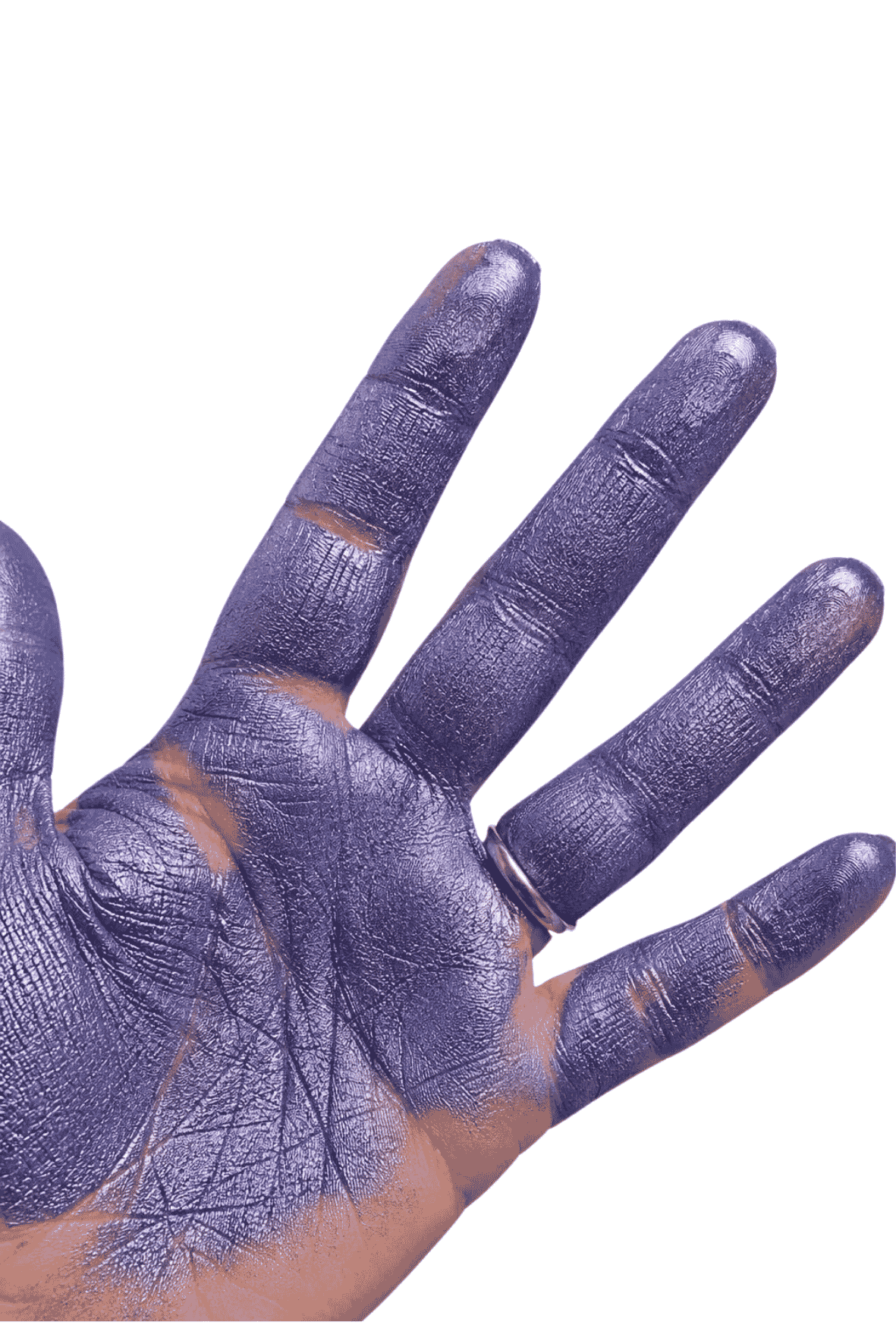 Premium Shimmering Mixed Media Mica Powder - Grape Expectations!