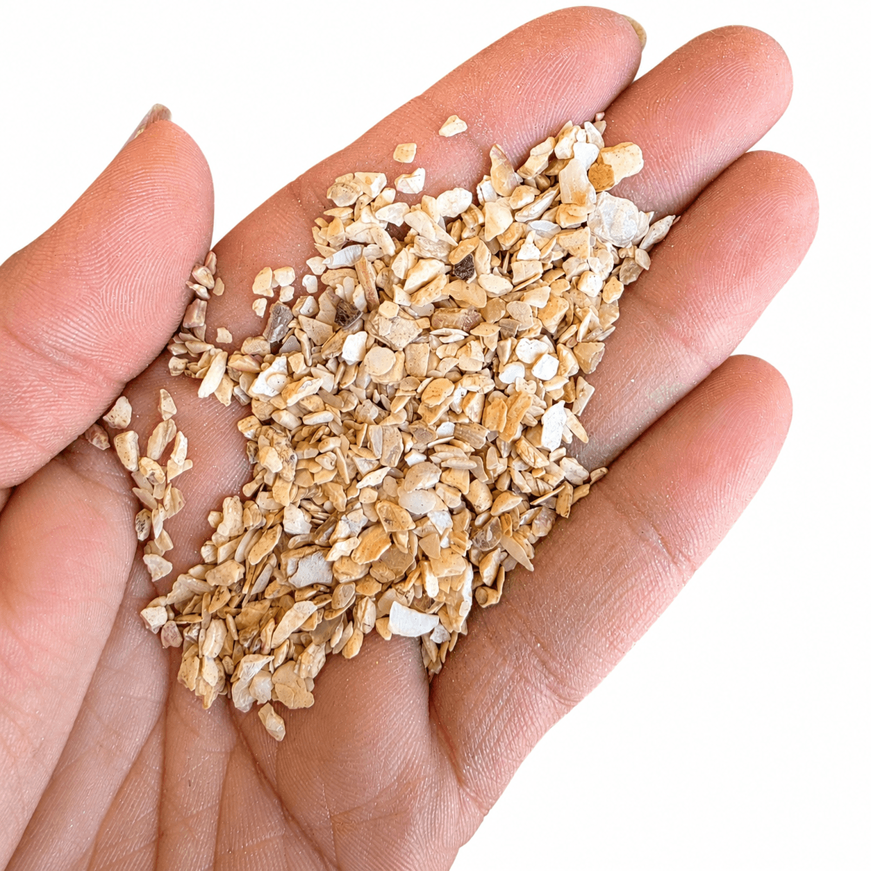 mother of pearl textures, shells