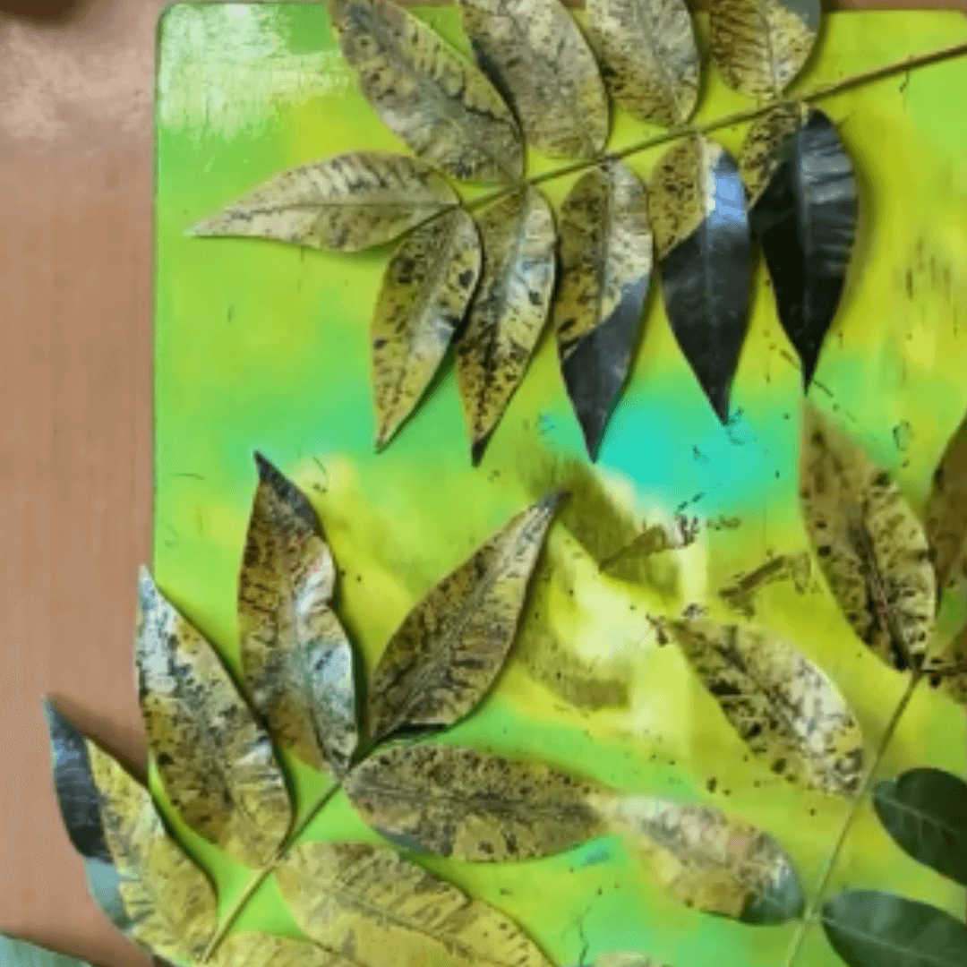 Crafty Friends Retreat: Botanical Impressions: Gelli Printing Nature's Beauty 30th May @ 1:00pm – 3:00pm