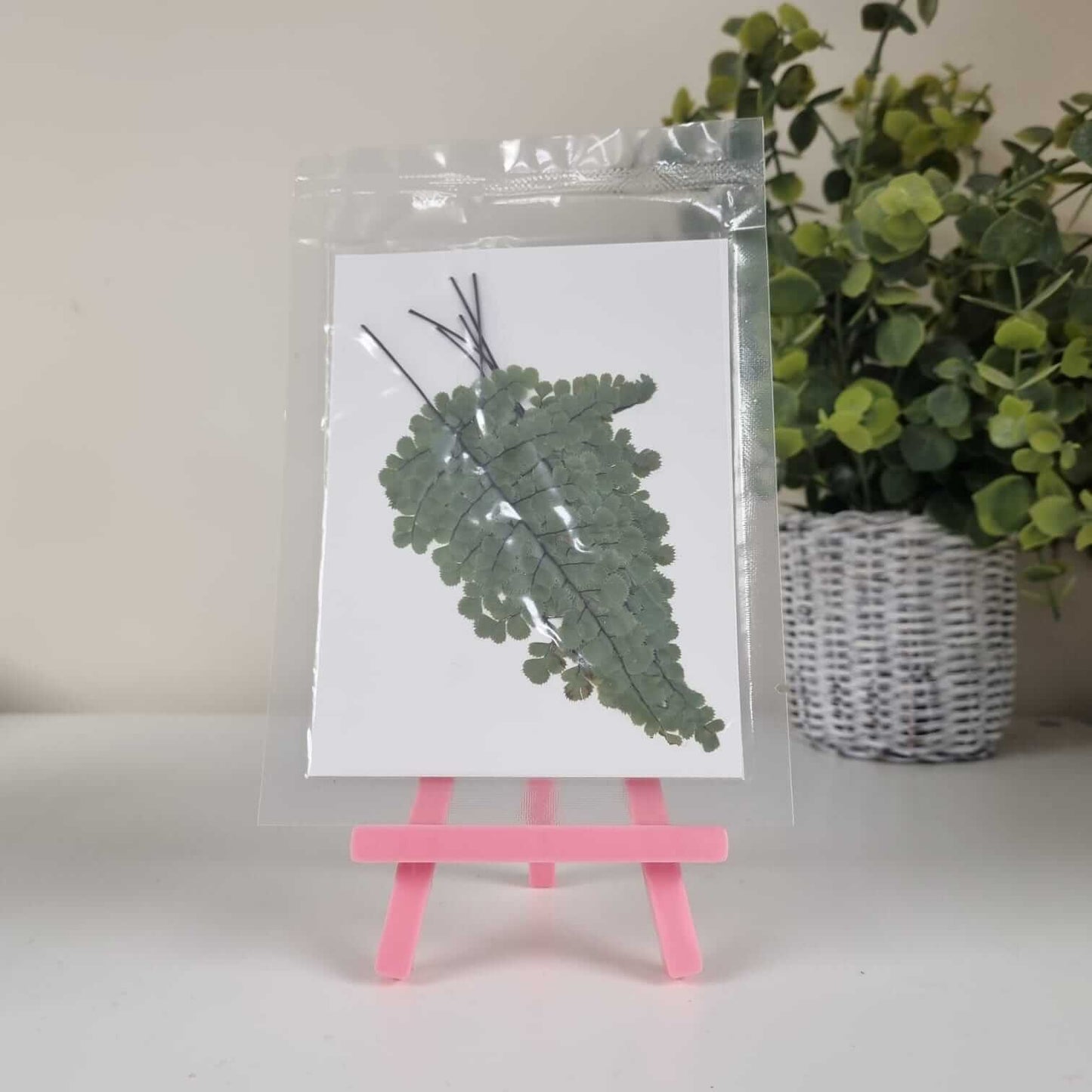 Blooming Pretty Pressed Flower Pack: Heritage Leaves!