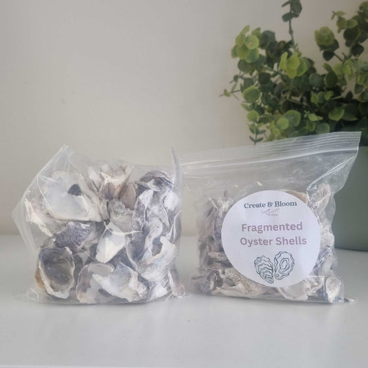Natural Fragmented Oyster Shells: Crushed Shell Pieces for Resin Art, Crafts & Home Décor!