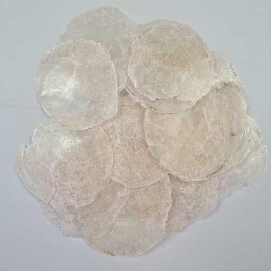 Natural Capiz Shell - Craft & Coastal Home Decor!