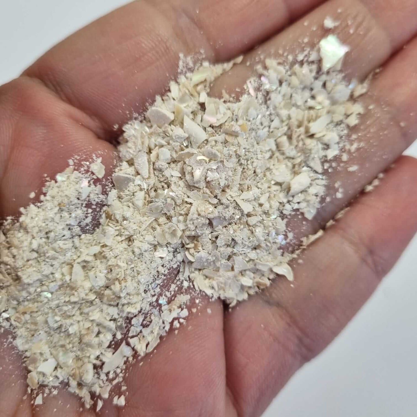 Bloom Texture - Mother of Pearl Shell Fragments!