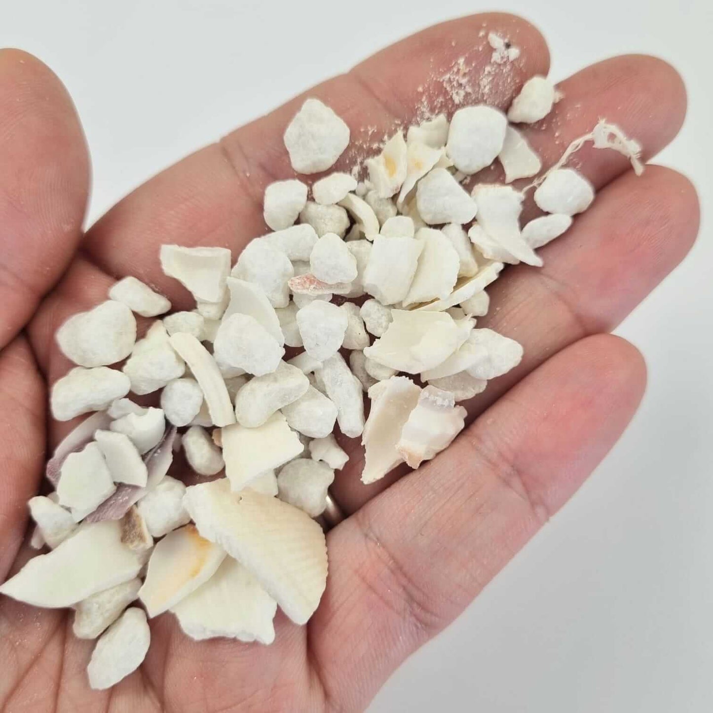 Bloom Texture  - Opulence Coastal Chippings