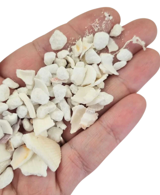 Bloom Texture  - Opulence Coastal Chippings