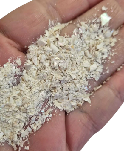 Bloom Texture  - Mother of Pearl Shell Fragments!