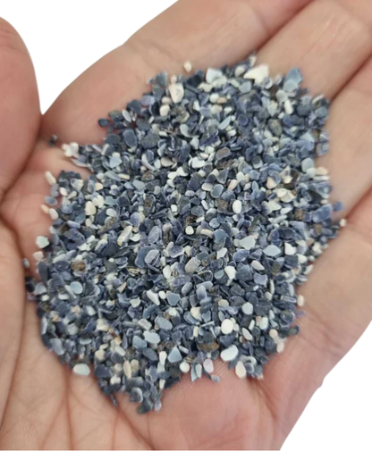 Bloom Texture Bundle  - Popeye Tumbled Mussel Shells!