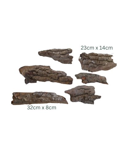 Chunky Bark Pieces – Set of Six for Resin Crafting, Mixed Media, and Winter Displays!
