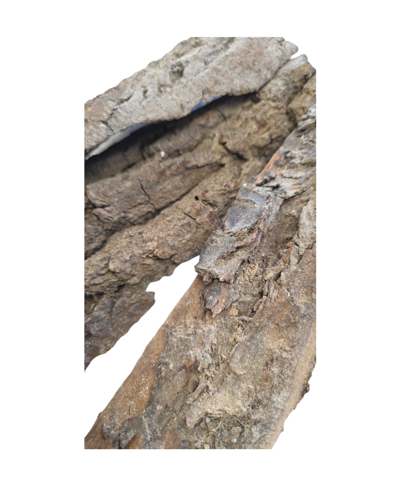 Chunky Bark Pieces – Set of Six for Resin Crafting, Mixed Media, and Winter Displays!