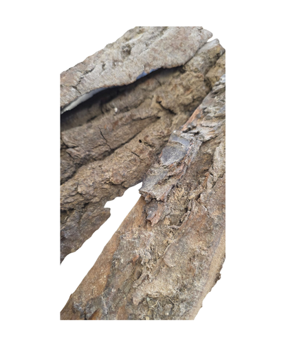 Chunky Bark Pieces – Set of Six for Resin Crafting, Mixed Media, and Winter Displays!