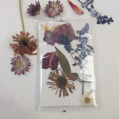 Blooming Pretty Pressed Flower Pack: Sherborne