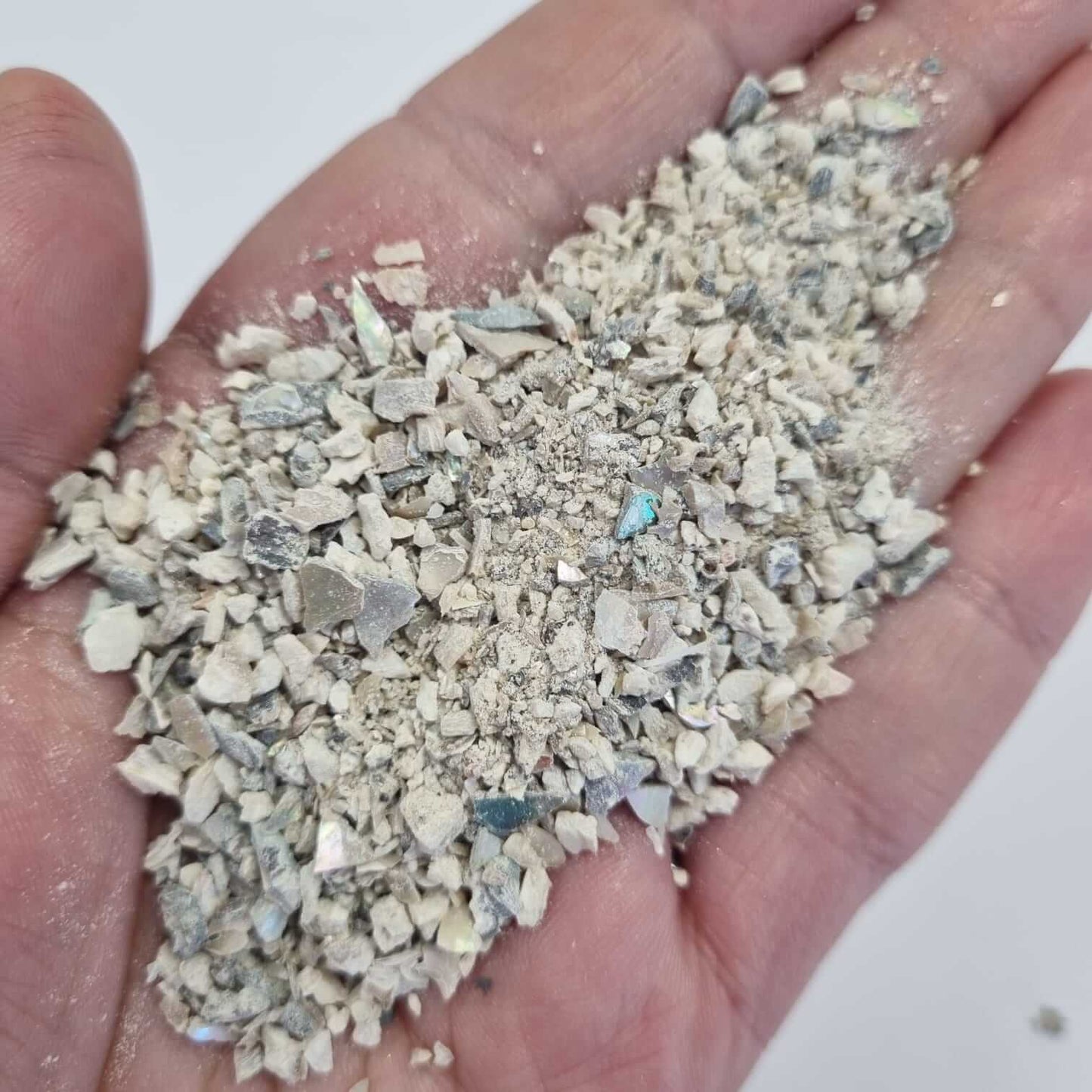 Bloom Texture  - Abalone Shell Fragments!