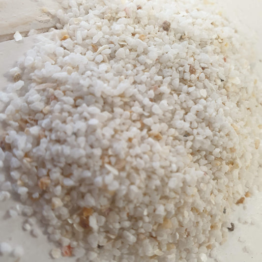 Bloom Texture  - Ivory Reverie 200g