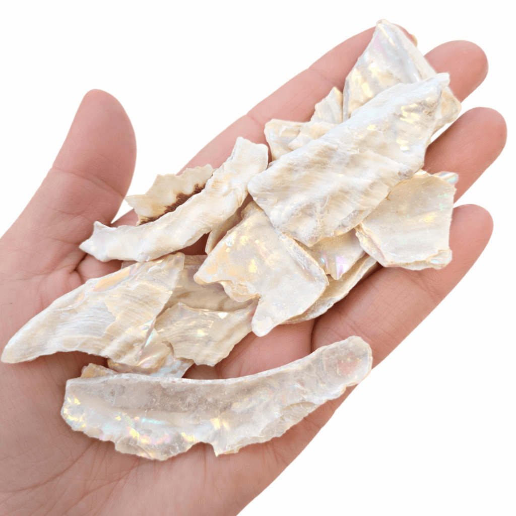 mother of pearl decor
mother of pearl fragments
shells for crafting 
shells for ocean art
resin art textures