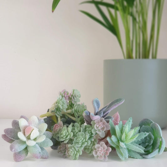 A collection of artificial succulent plants arranged on a surface with a larger, real plant in the background.