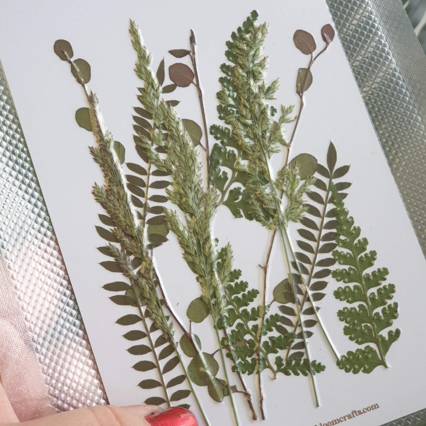 Blooming Pretty Pressed Flower Pack: Weeping Woodland Fauna