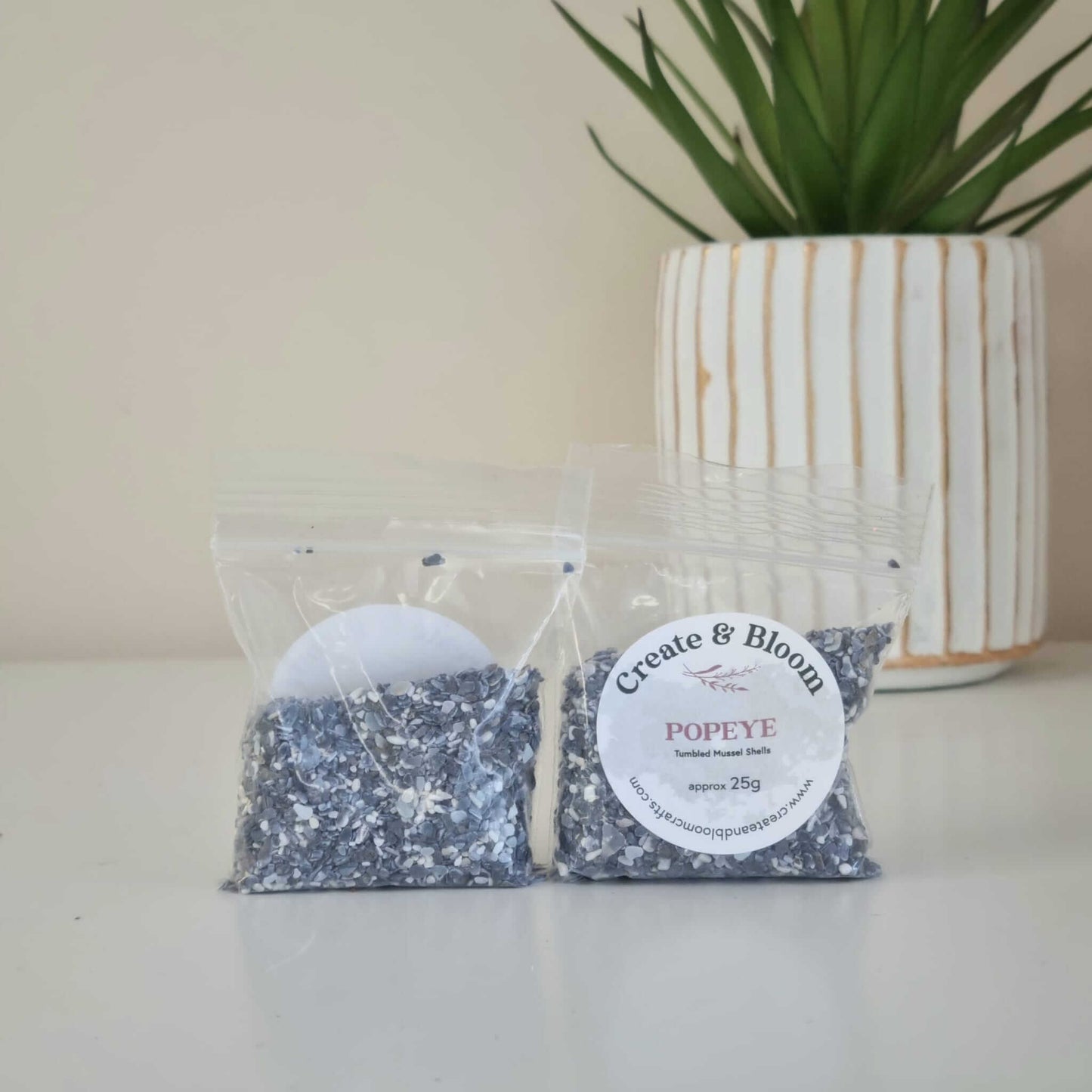Bloom Texture Bundle  - Popeye Tumbled Mussel Shells!