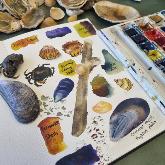 Zoom Watercolours - Shell Studies, WEEKS 1-3 starting Wed's 6th August 8pm
